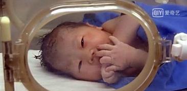 育儿吃瓜的明星,揭秘娱乐圈育儿那些事儿  第1张