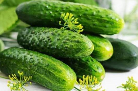 不随意吃瓜  第3张