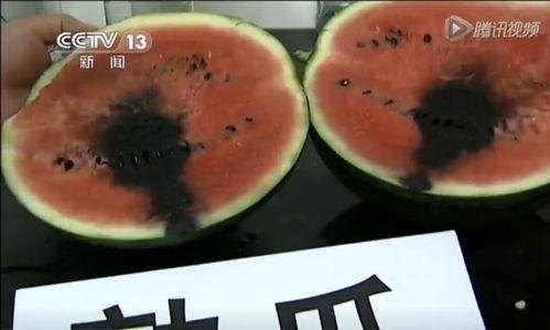 吃瓜视频打包,热门事件幕后真相全解析  第2张