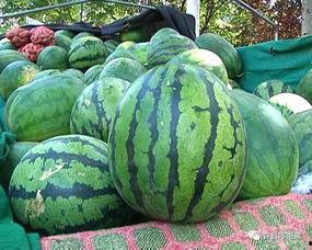 瓜这么大怎么吃  第2张