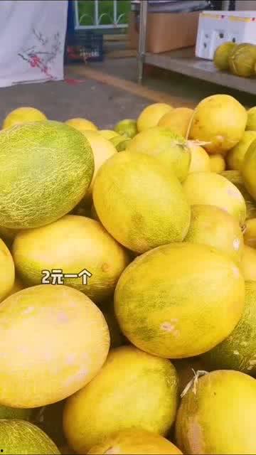 哈密瓜吃哪个地方,揭秘最佳食用部位  第2张