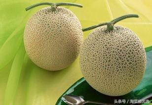 直播吃网纹瓜  第3张