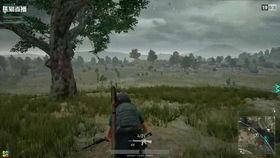 吃鸡吃瓜直播间,吃鸡吃瓜，带你领略网络直播新潮流  第1张