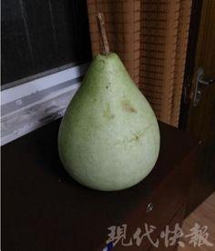 盐城人在吃瓜,品味生活，共享欢乐时光  第2张