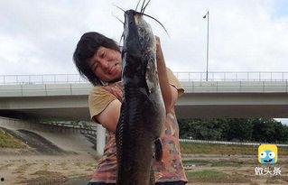 鱼圈吃瓜剧,揭秘娱乐圈背后的吃瓜大剧  第2张