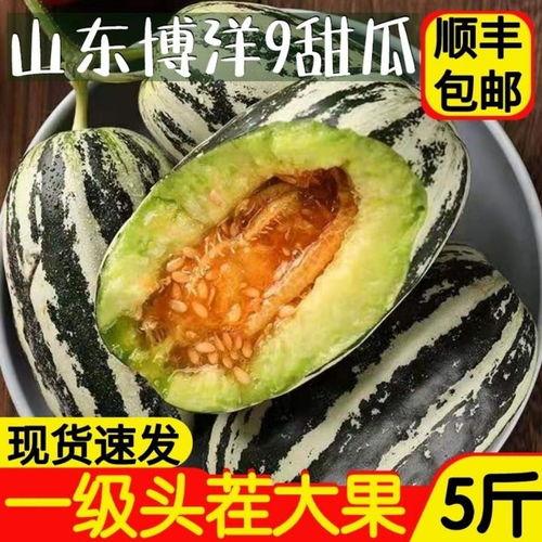 单县直播吃瓜  第3张