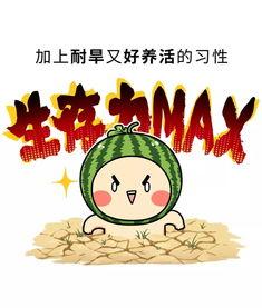 吃瓜爱唱歌,揭秘“吃瓜爱唱歌”的奇妙旅程  第3张